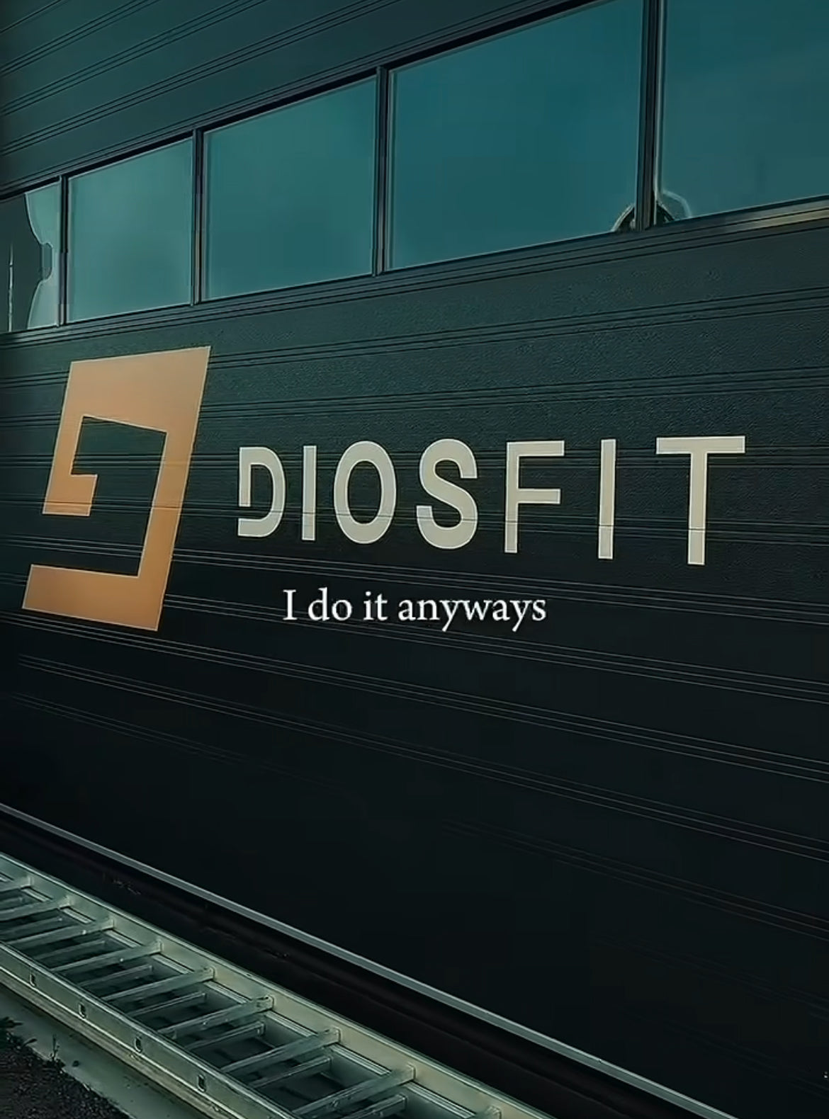 Diosfit